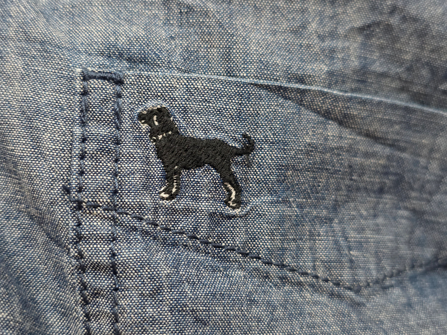 Camisa The Black Dog 2xl Azul