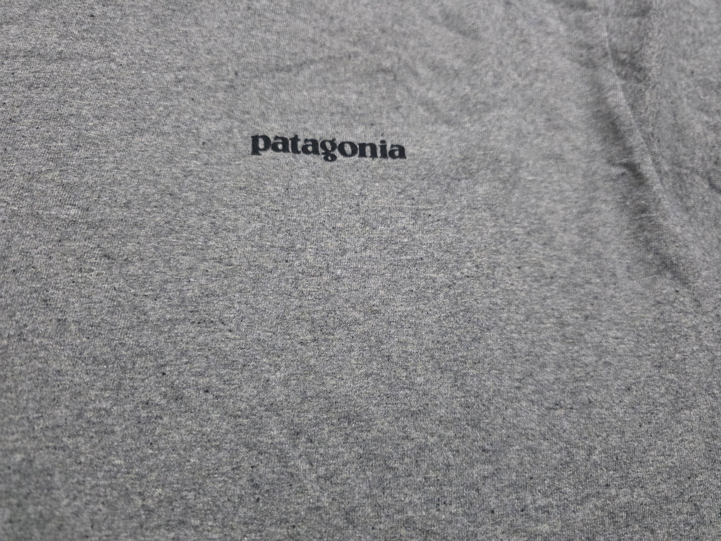 Playera Patagonia Grande L Regular Fit Gris