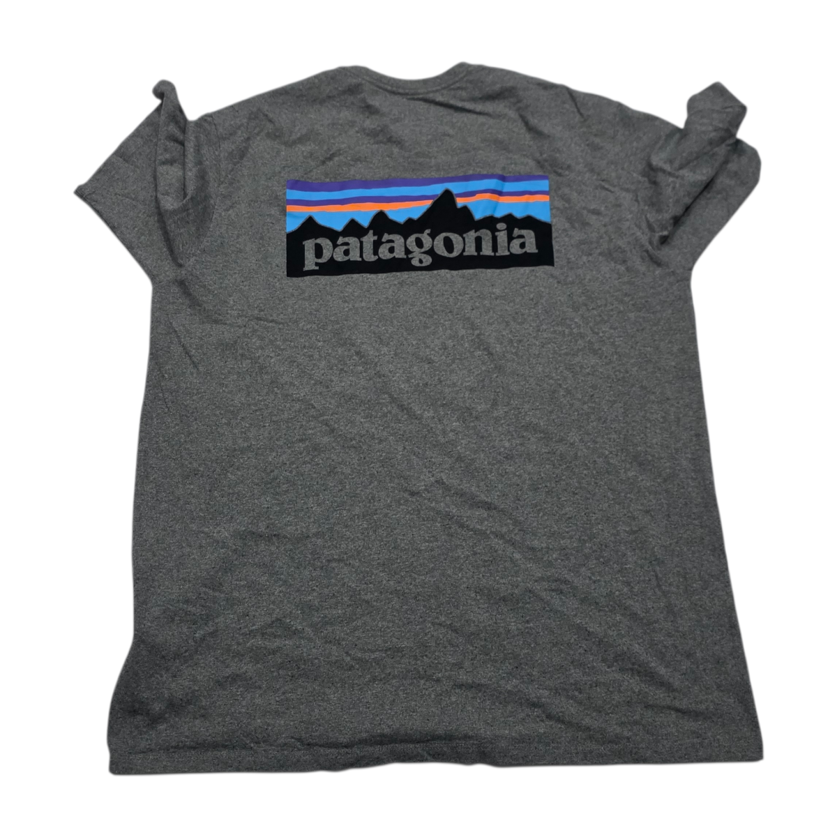 Playera Patagonia Grande L Regular Fit Gris