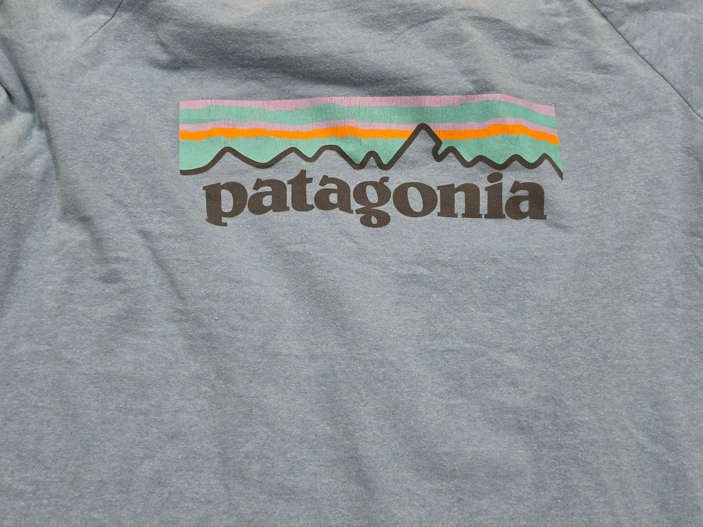 Playera Manga Larga Patagonia Chico S Regular Fit Azul Claro