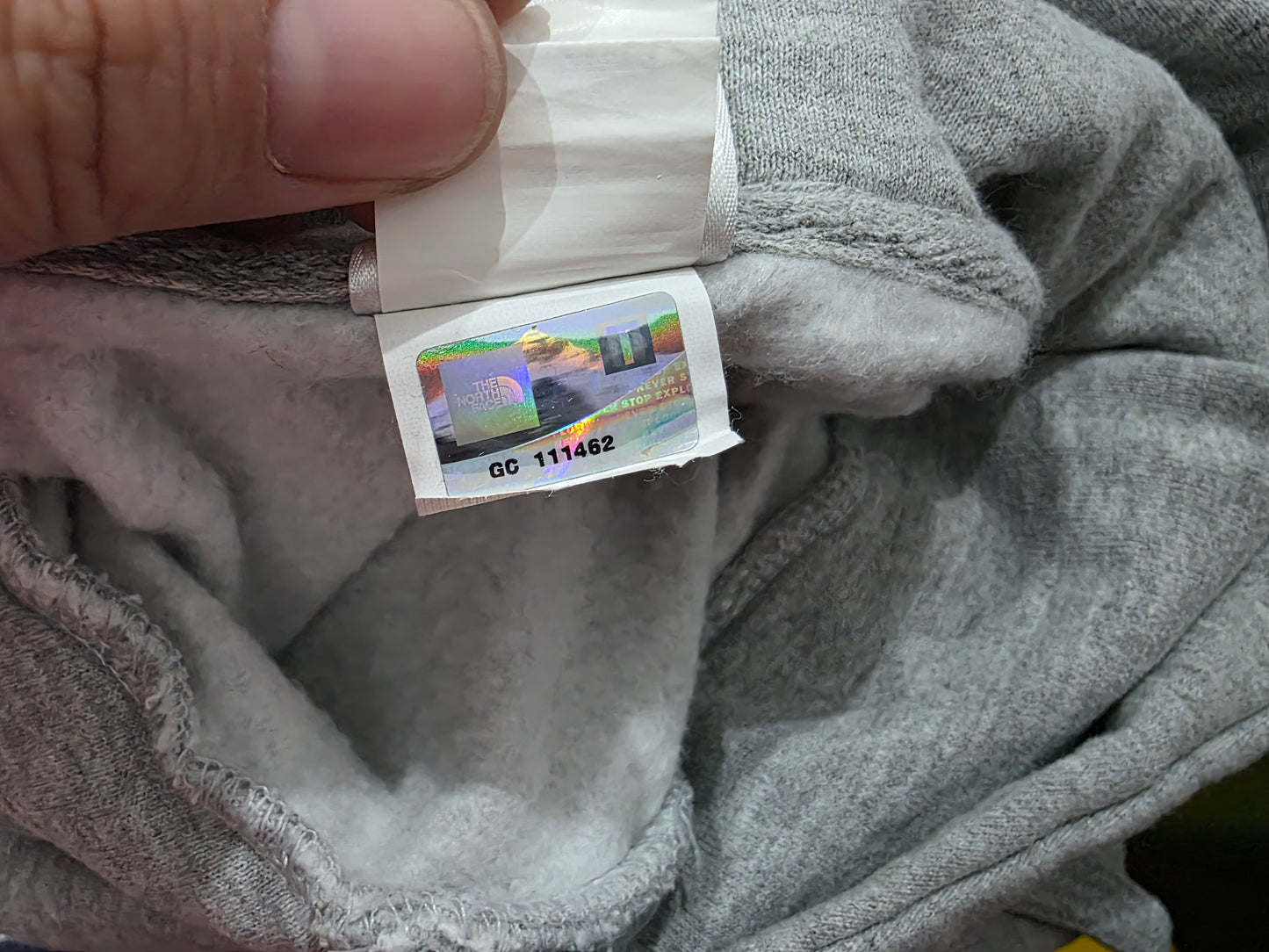 Sudadera The North Face Xgrande Gris
