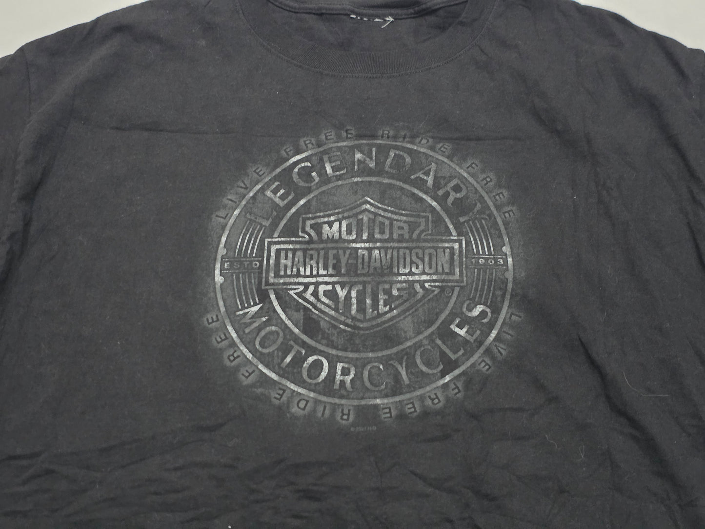 Playera Harley Dvidson Grande L Negro Rochester Minnesota