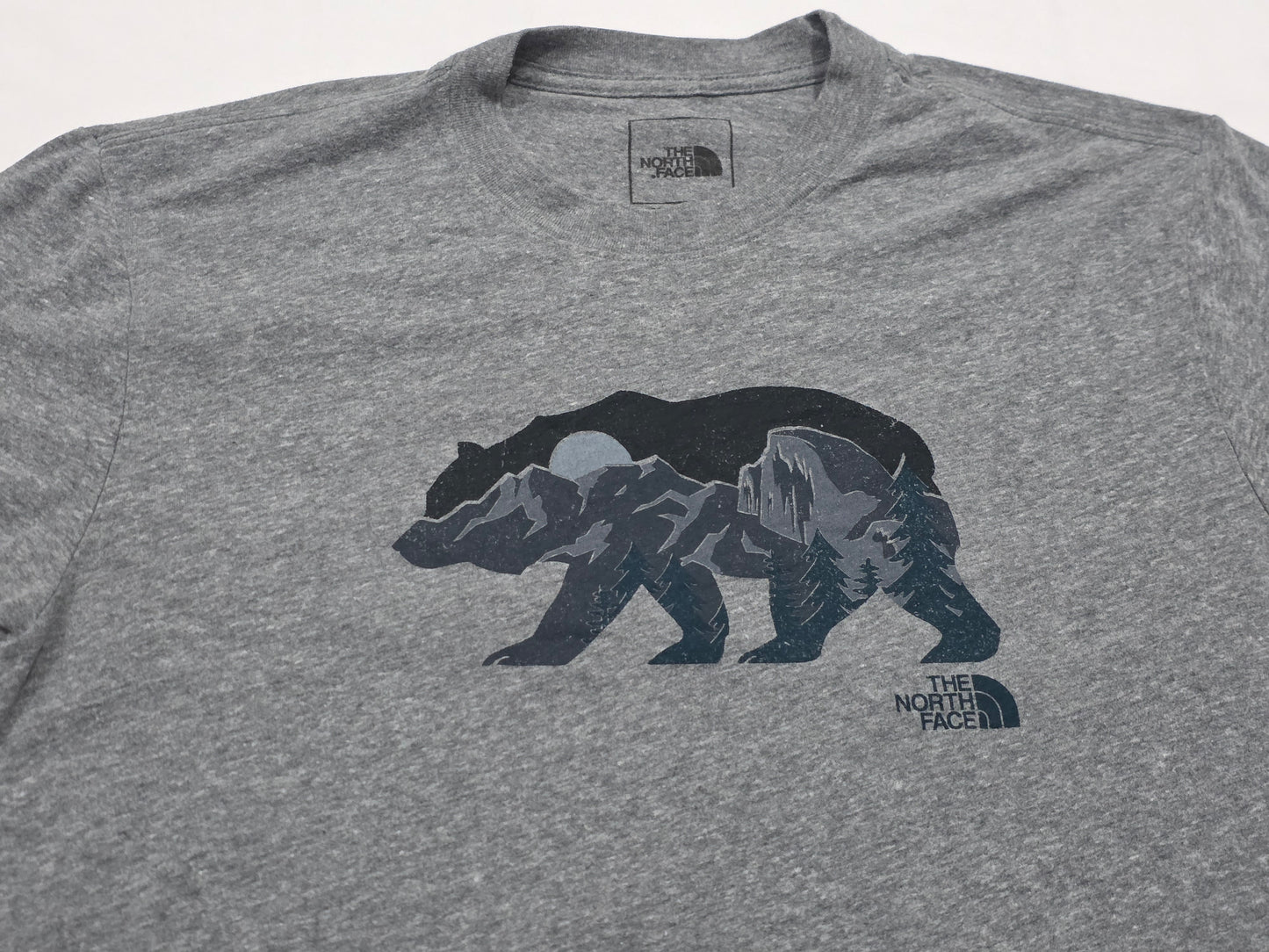 Playera The North Face Mediana M Gris Oso (Usado)