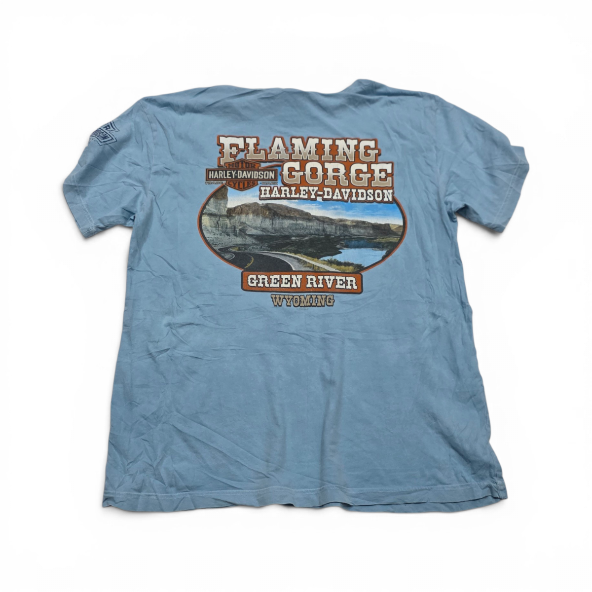 Playera Harley Davidson Grande L Azul Claro Green River (Usado)