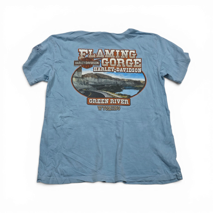 Playera Harley Davidson Grande L Azul Claro Green River (Usado)