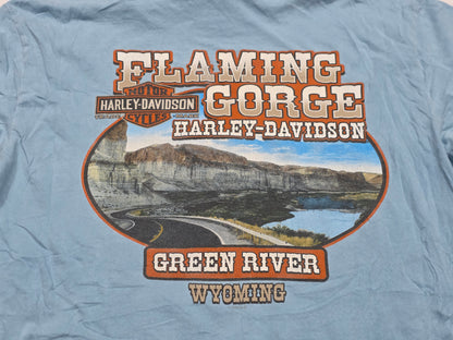 Playera Harley Davidson Grande L Azul Claro Green River (Usado)