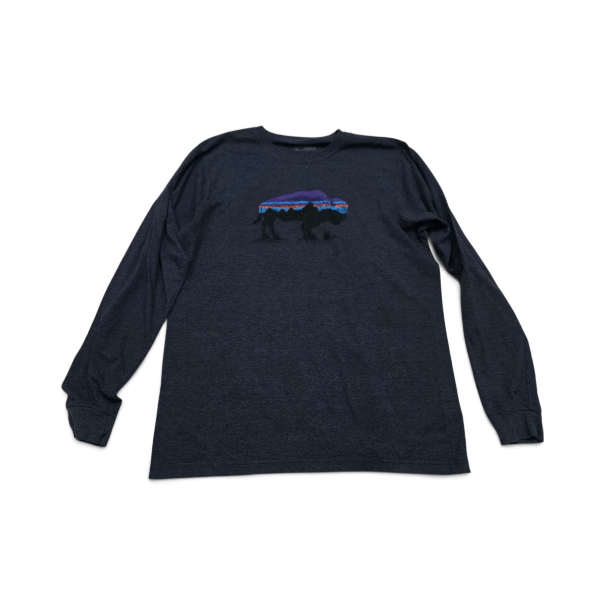 Playera Patagonia Mediana M Azul Manga Larga (Usado)
