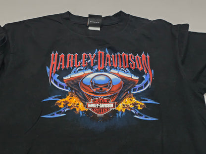 Playera Harley Davidson Grande L White Mountain Negro (Usado)