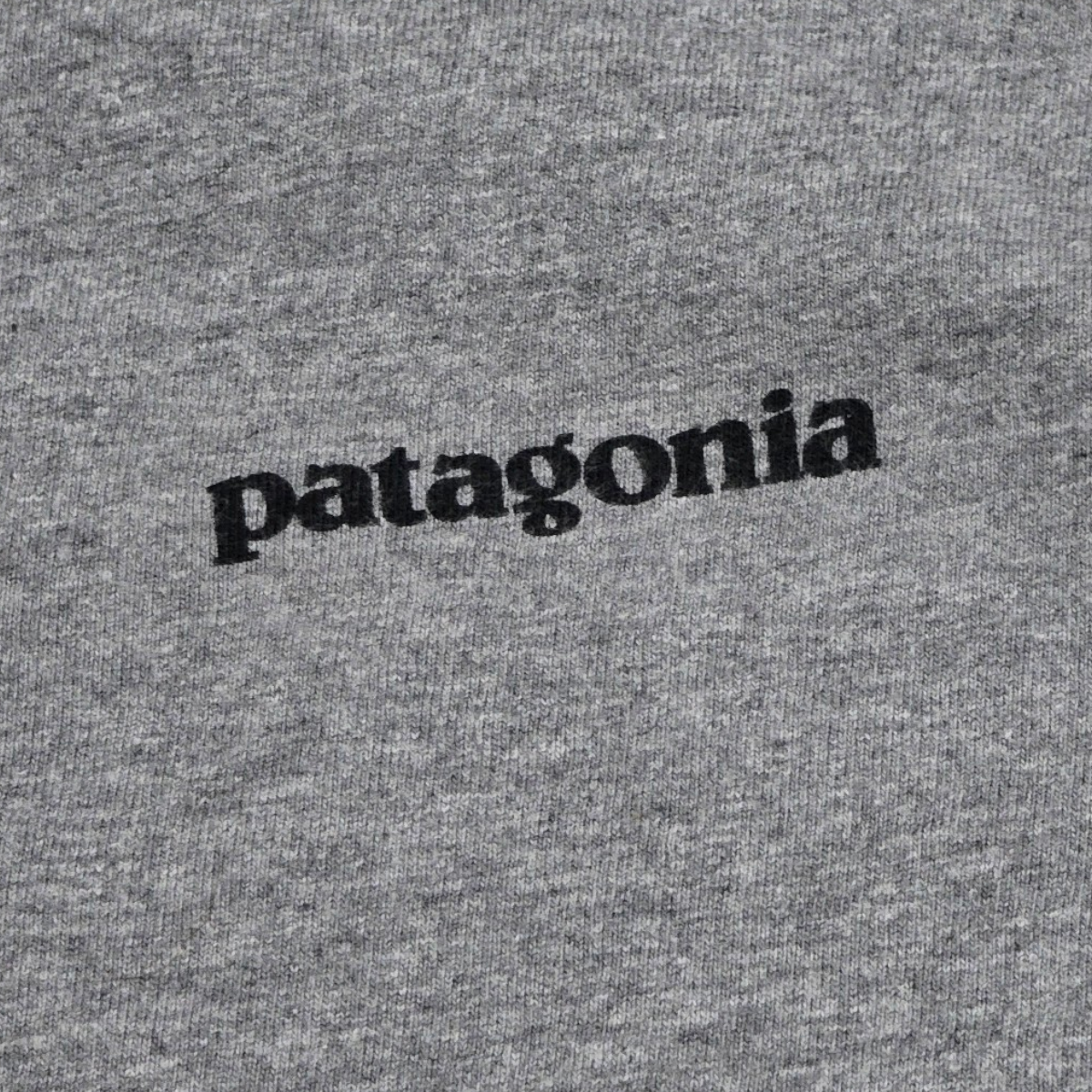 Playera Manga Larga Patagonia Chico S Regular Fit Gris