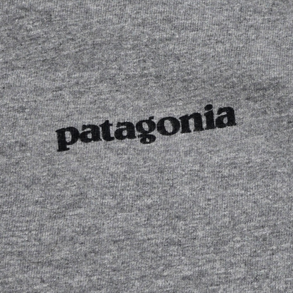 Playera Manga Larga Patagonia Chico S Regular Fit Gris