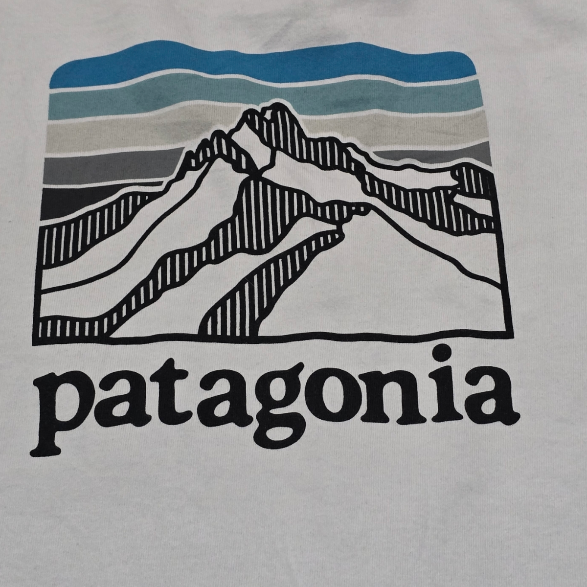 Playera Patagonia Mediana M Regular Fit