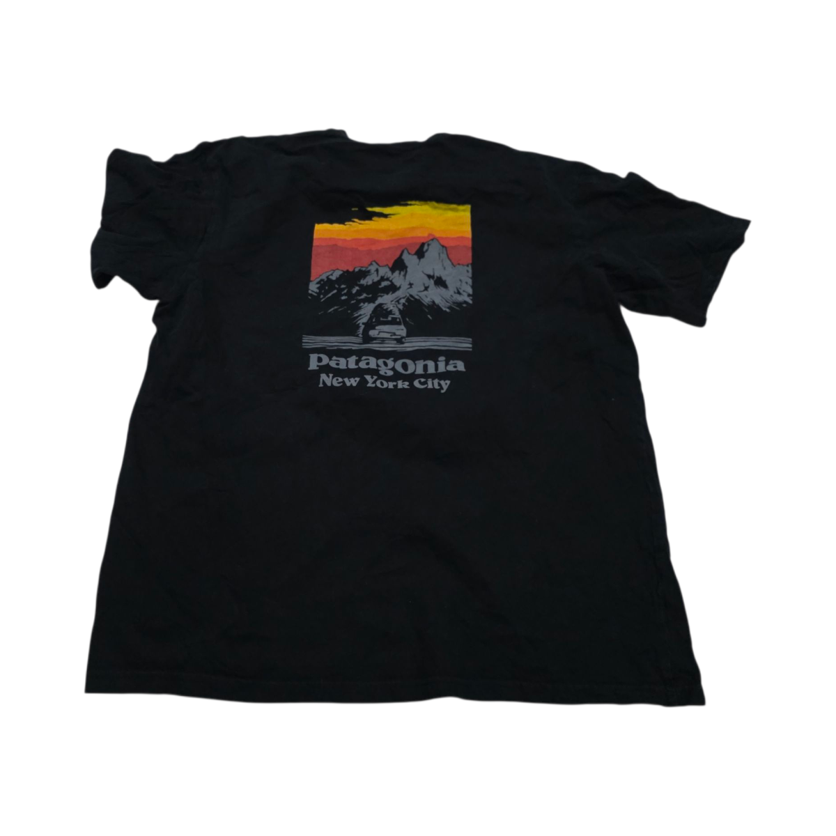 Playera Patagonia Grande L Negro