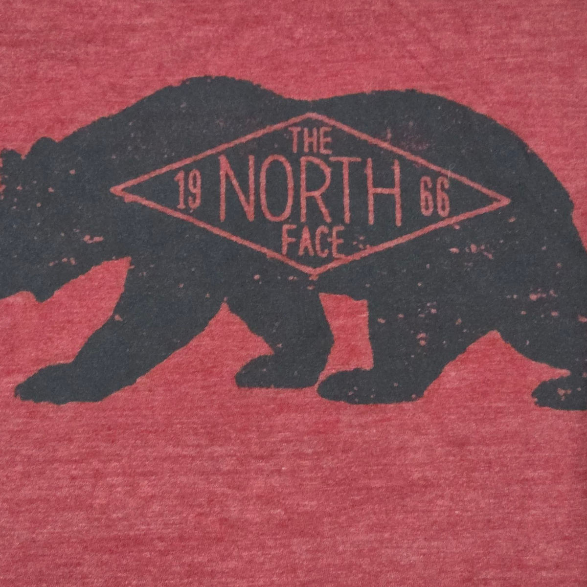 Playera The North Face Grande L Vino Slimfit Oso