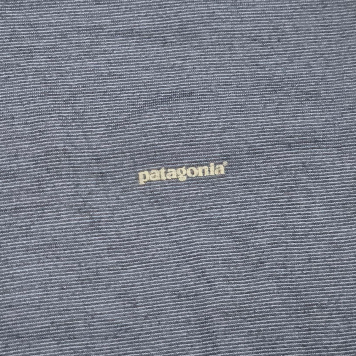 Playera Manga Larga Con Cierre Patagonia Capilene Azul